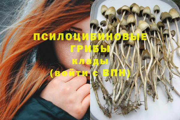 крисы Алексеевка
