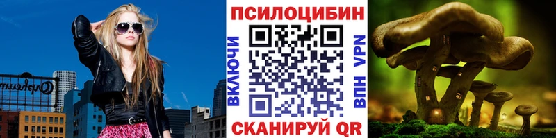 мега   Сясьстрой  Псилоцибиновые грибы MAGIC MUSHROOMS 